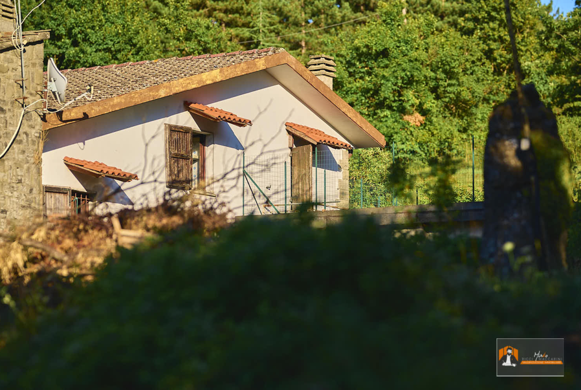 CASA INDIPENDENTE con TERRENO di 12.500 mq a MONTALBANO CAVRENNO (FI)