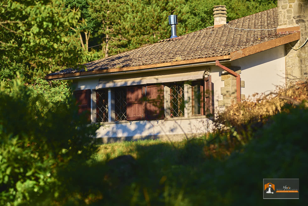 CASA INDIPENDENTE con TERRENO di 12.500 mq a MONTALBANO CAVRENNO (FI)